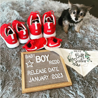Babylist Registry Photo.