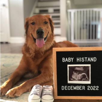 Babylist Registry Photo.