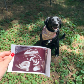 Babylist Registry Photo.