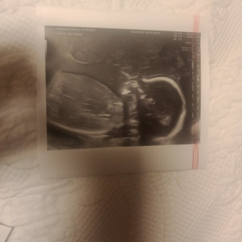 Babylist Registry Photo.