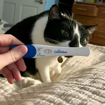 Babylist Registry Photo.