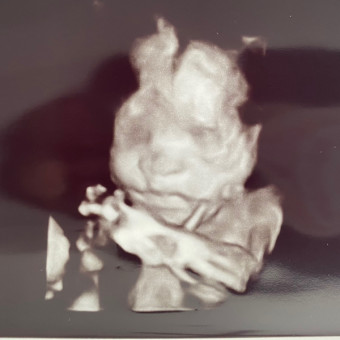 Babylist Registry Photo.