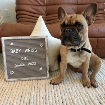 Babylist Registry Photo.
