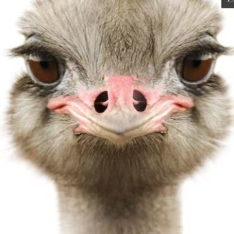 Babylist Registry Photo.