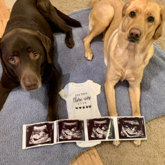 Babylist Registry Photo.