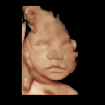 Babylist Registry Photo.