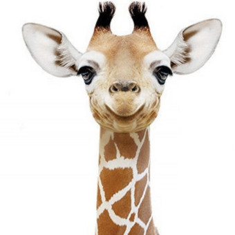 Babylist Registry Photo.