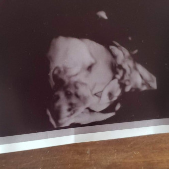 Babylist Registry Photo.