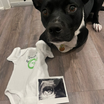 Babylist Registry Photo.