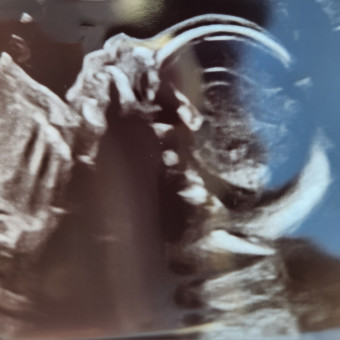 Babylist Registry Photo.