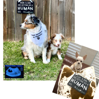 Babylist Registry Photo.