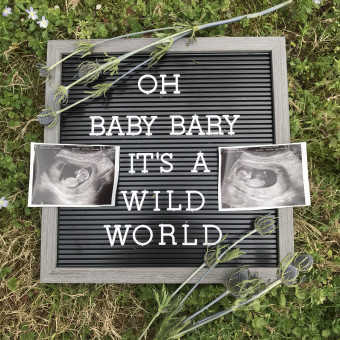 Babylist Registry Photo