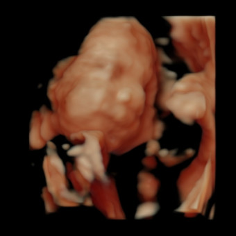 Babylist Registry Photo.