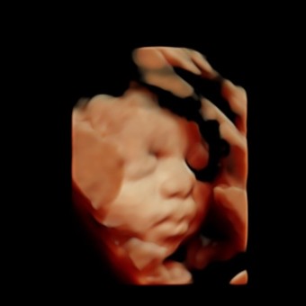 Babylist Registry Photo.