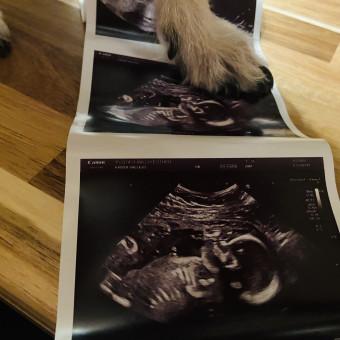 Babylist Registry Photo.