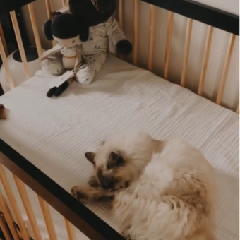 Babylist Registry Photo.