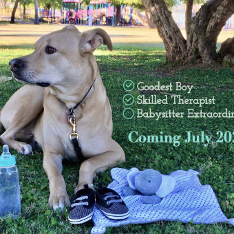 Babylist Registry Photo.
