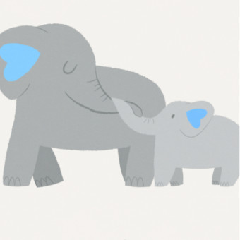 peek a boo elephant baby bunting