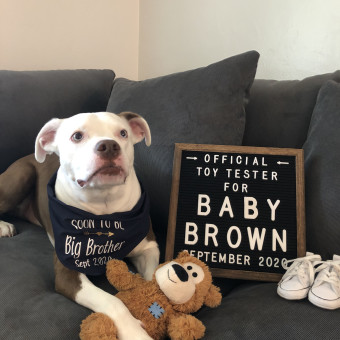 Babylist Registry Photo.