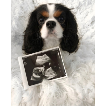 Babylist Registry Photo.