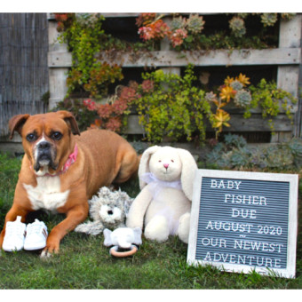 Babylist Registry Photo.