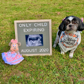 Babylist Registry Photo.
