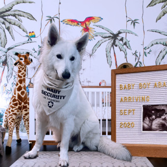 Babylist Registry Photo.