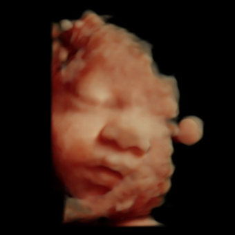 Babylist Registry Photo.