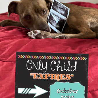 Babylist Registry Photo.