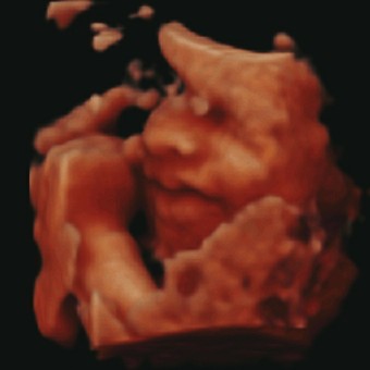 Babylist Registry Photo.