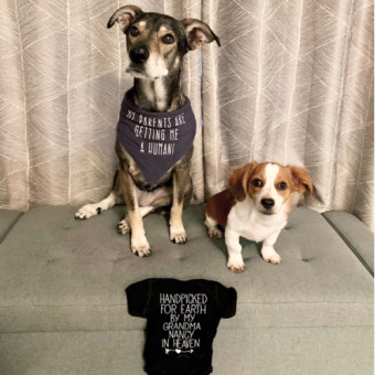 Babylist Registry Photo.
