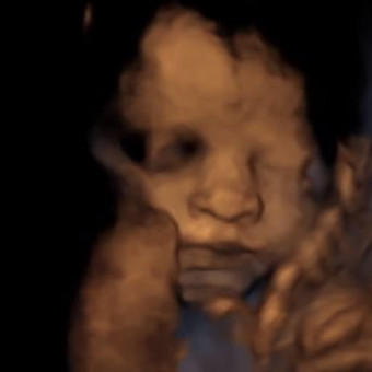Babylist Registry Photo.