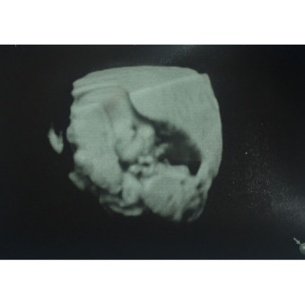 Babylist Registry Photo.