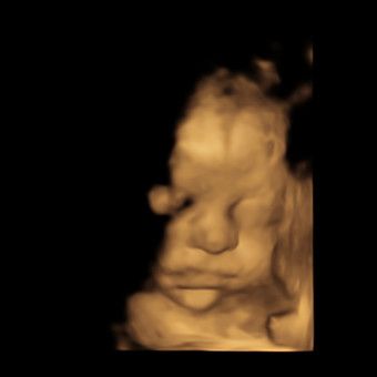 Babylist Registry Photo.
