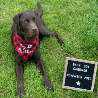 Babylist Registry Photo.