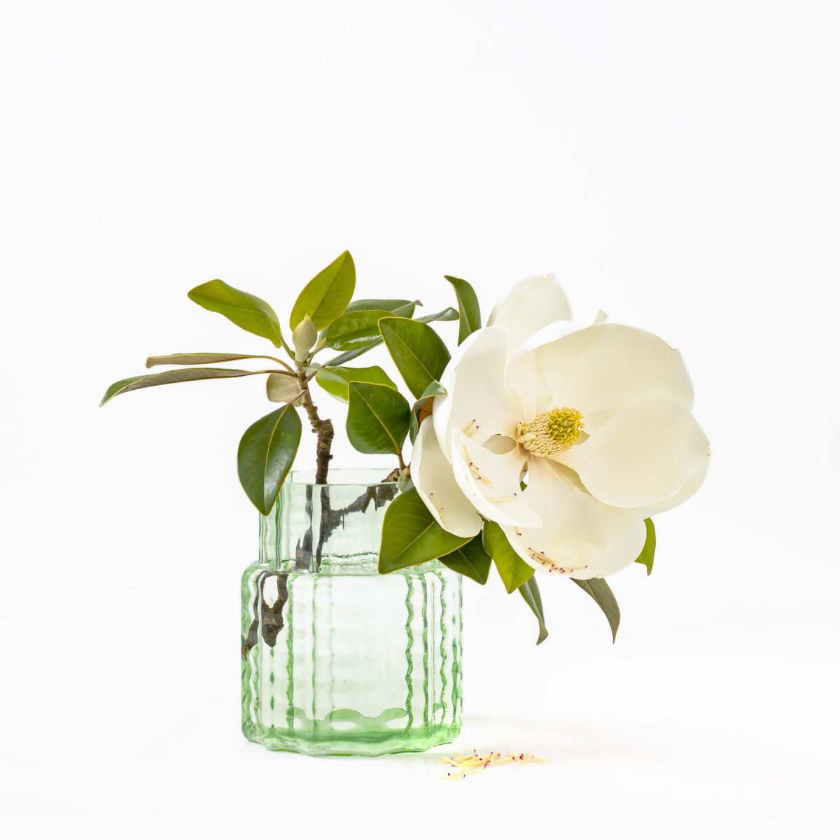 Wave Vase - Plump | Shop Babylonstoren