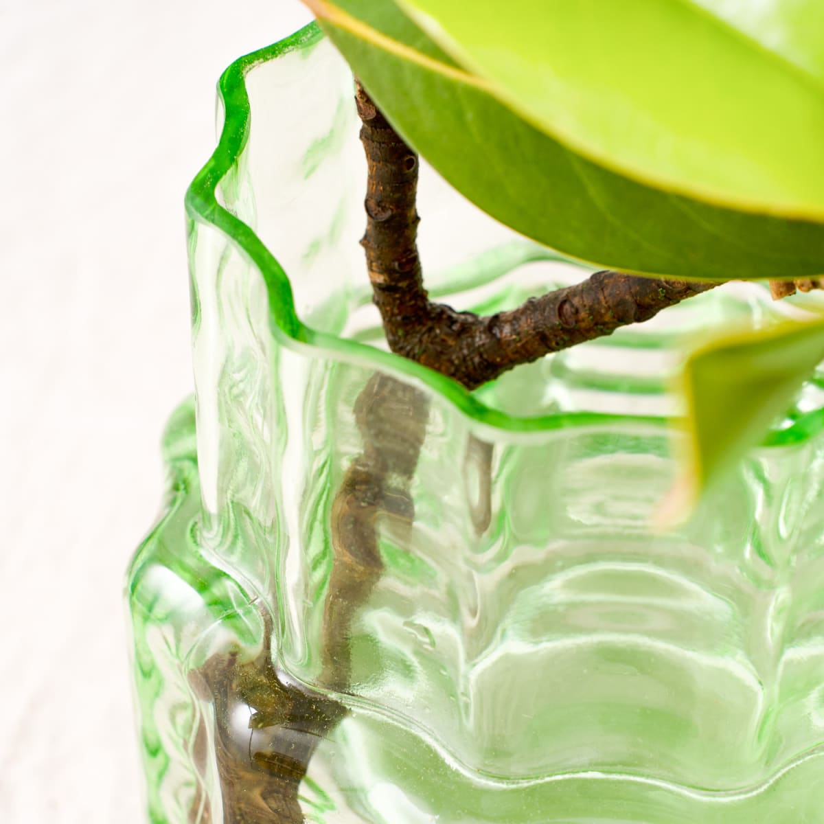 Wave Vase - Plump | Shop Babylonstoren