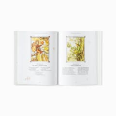 The Complete Book of the Flower Fairies | Shop Babylonstoren