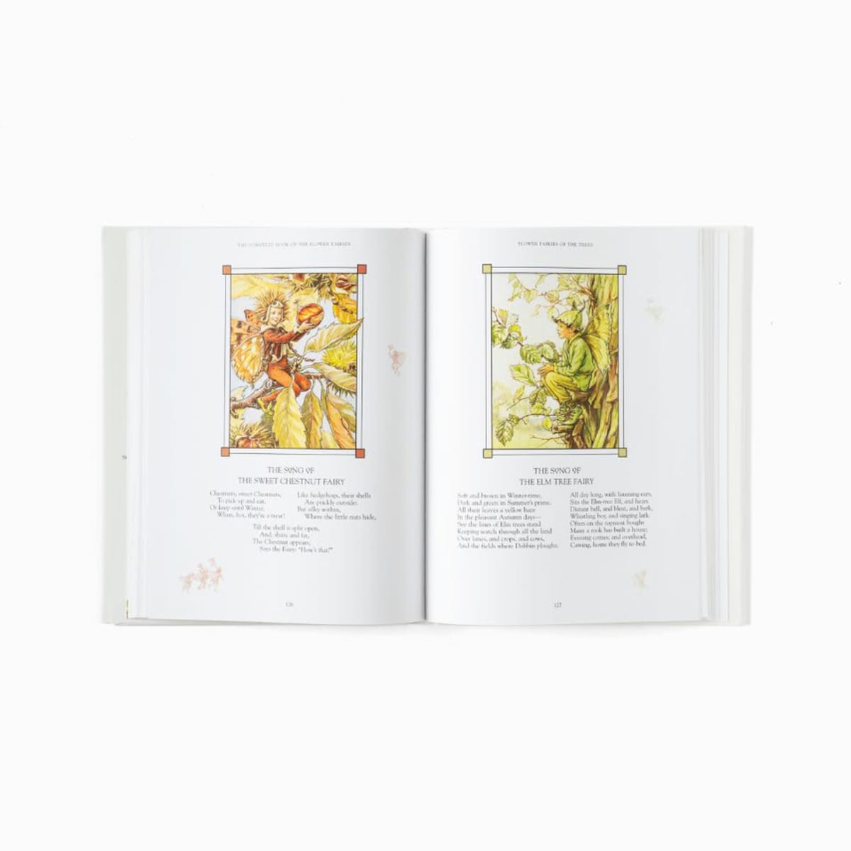 The Complete Book of the Flower Fairies | Shop Babylonstoren