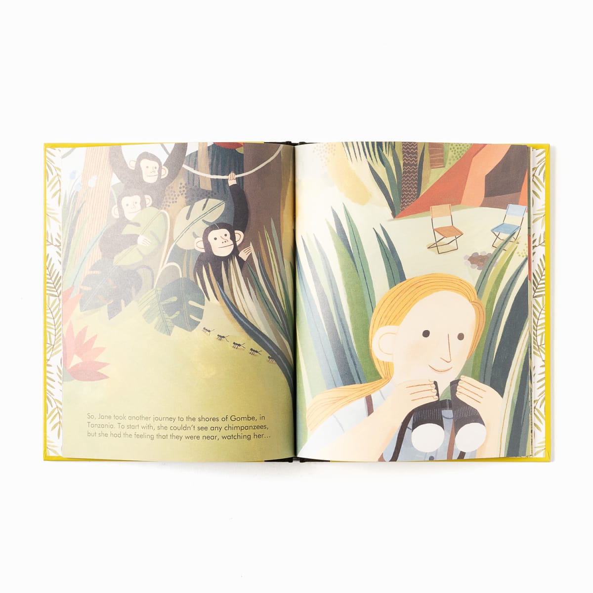 Little People, Big Dreams - Jane Goodall | Shop Babylonstoren