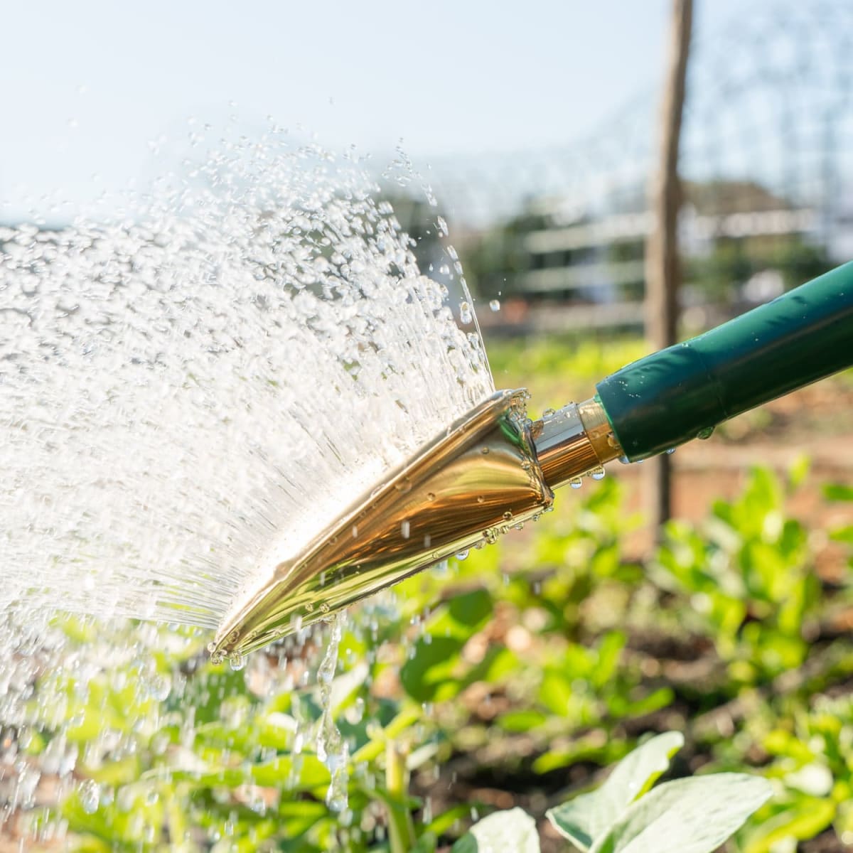 Haws Watering Can - Warley Fall | Shop Babylonstoren