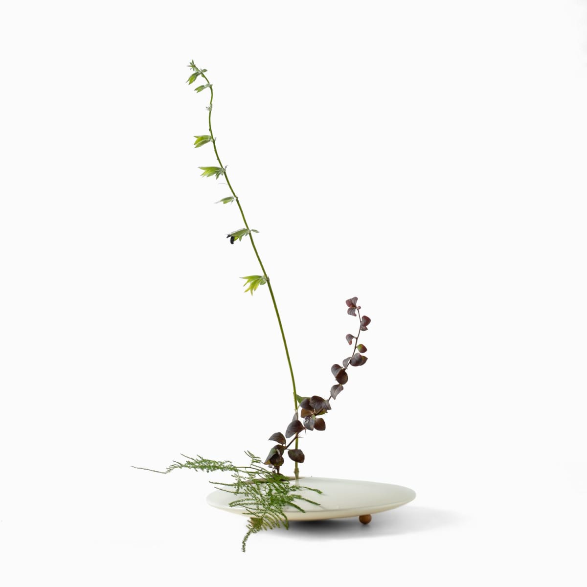 Round Black Flower Frog - Large | Shop Babylonstoren
