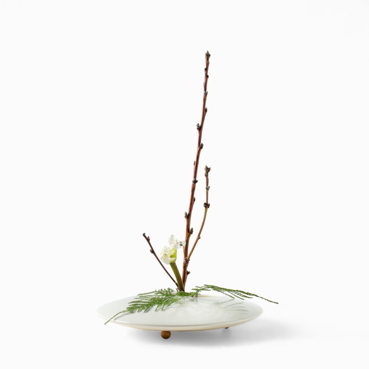 Round Brass Flower Frog - Large | Shop Babylonstoren