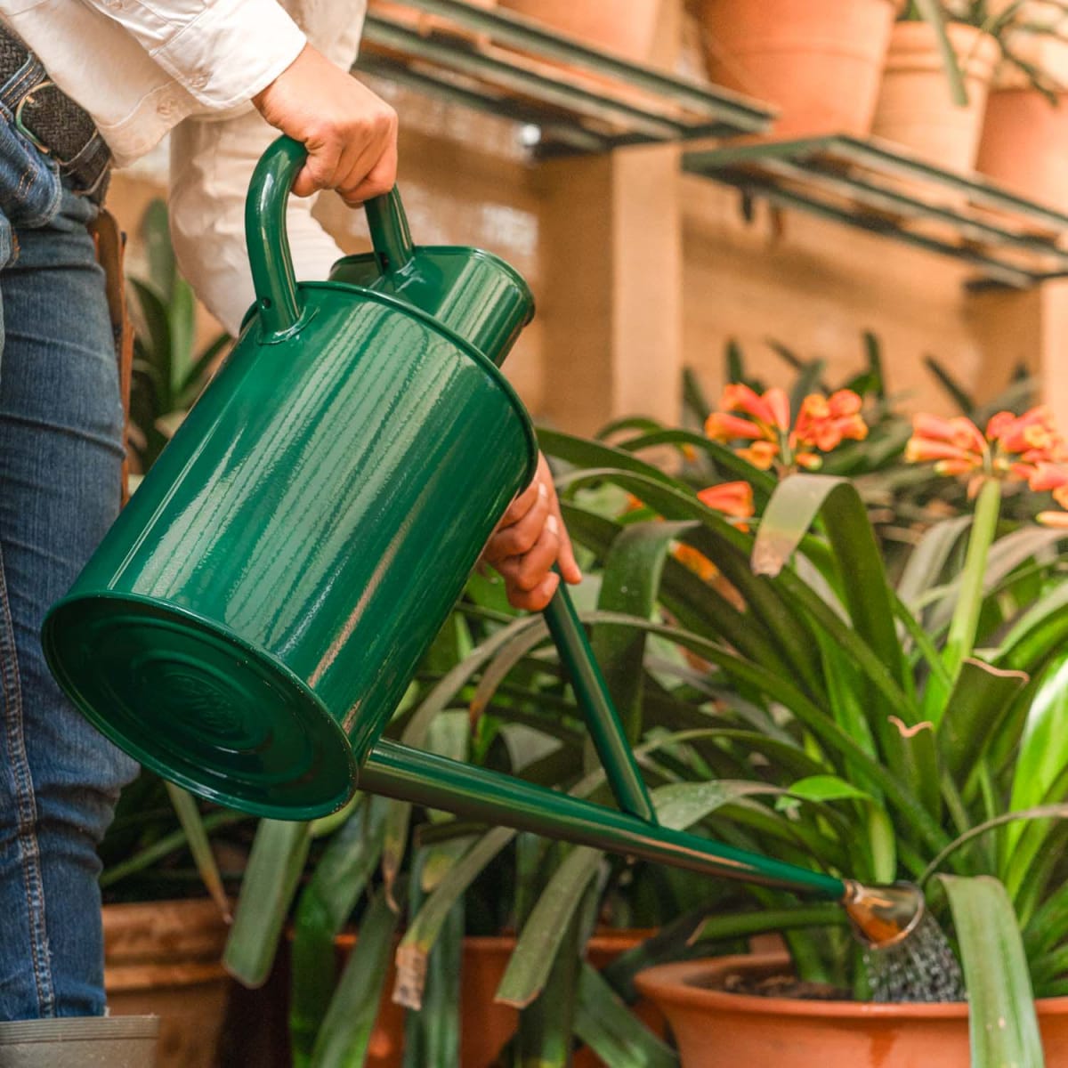 Haws Watering Can - Warley Fall | Shop Babylonstoren