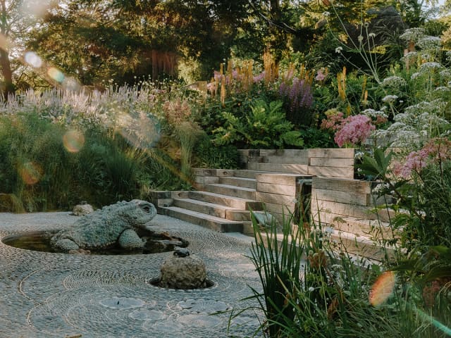 A colourful garden view dappled with sunlight