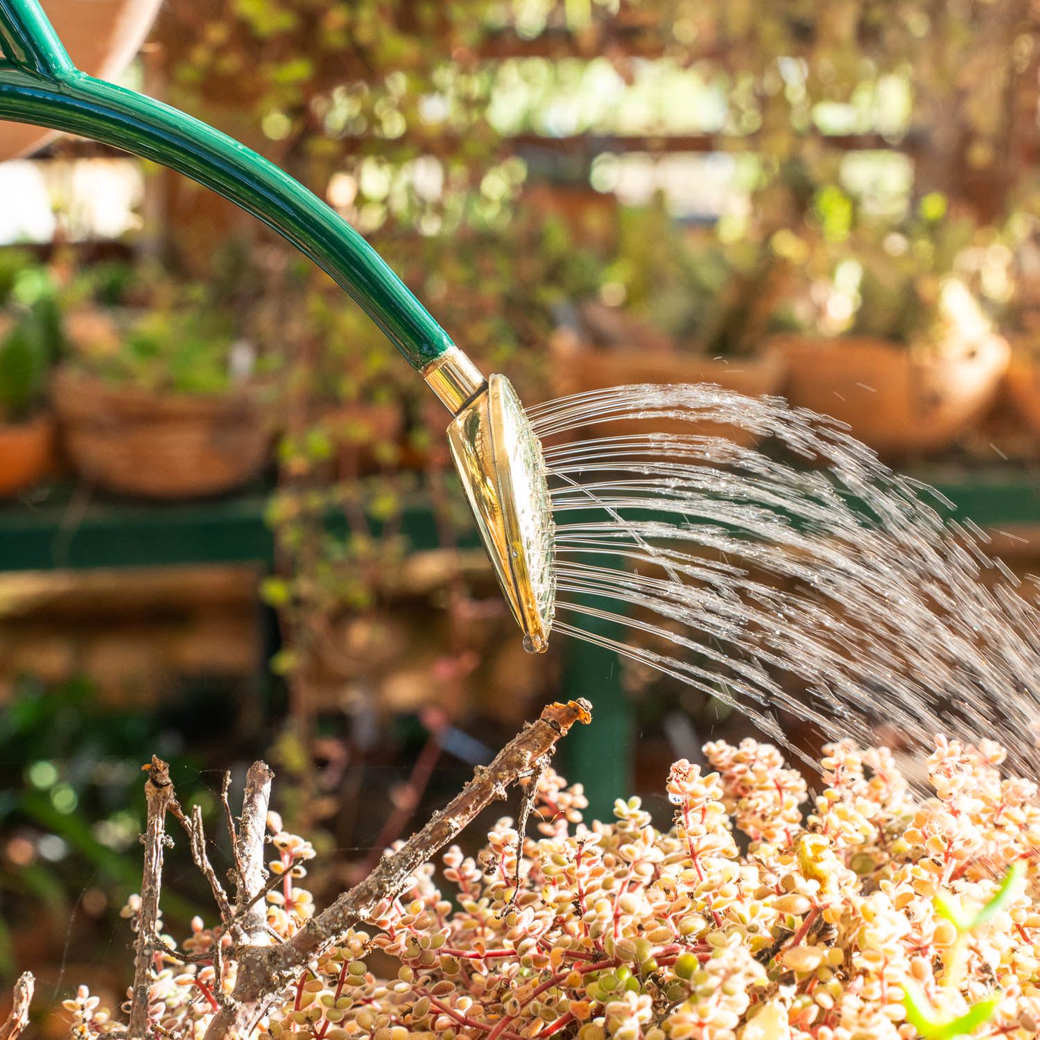 Haws Watering Can - Rowley Ripple | Shop Babylonstoren