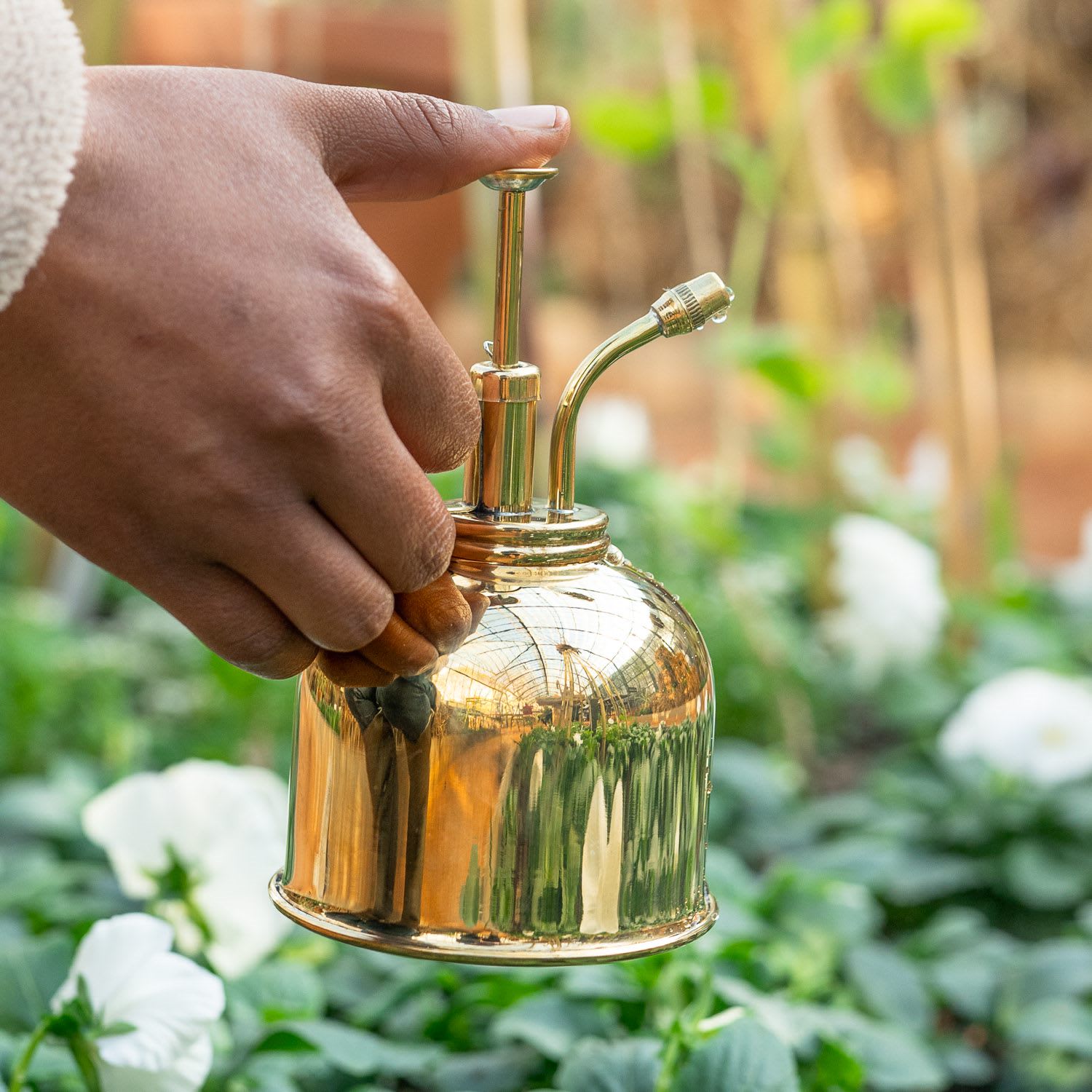 ゴールドスター　シャワーズ Haws Brass Spritzer | Shop Babylonstoren