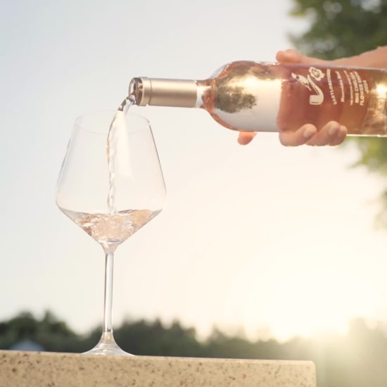 Mourvèdre Rosé 2024 | Shop Babylonstoren