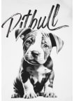 Tričko PitBull West Coast Puppy dámske biele