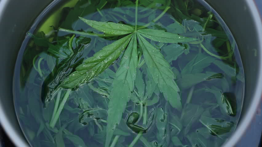 Senyawa Baik Air Rebusan Ganja